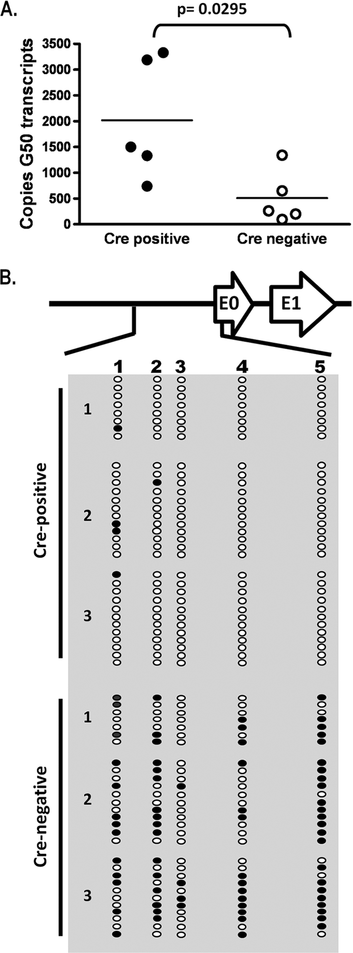 FIG. 7.