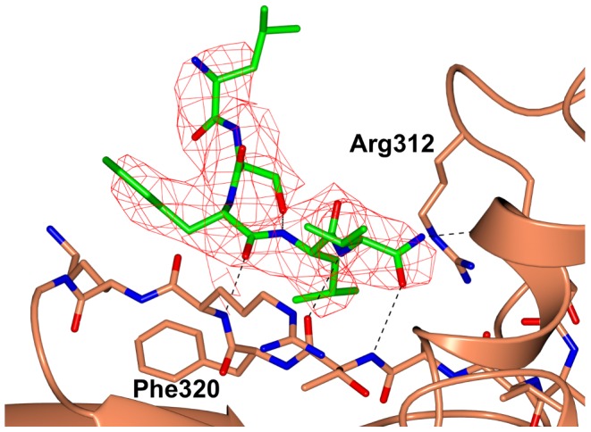 Figure 6