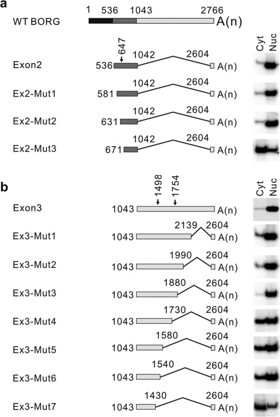 FIG 5