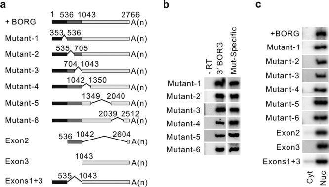 FIG 3