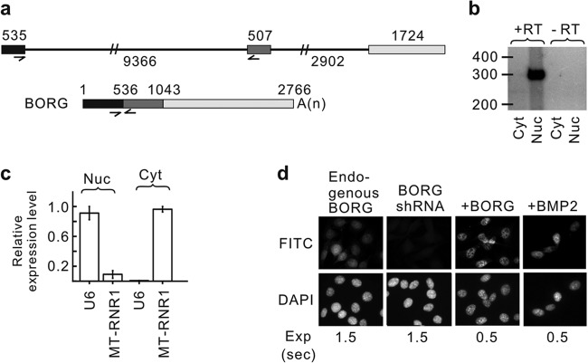 FIG 1