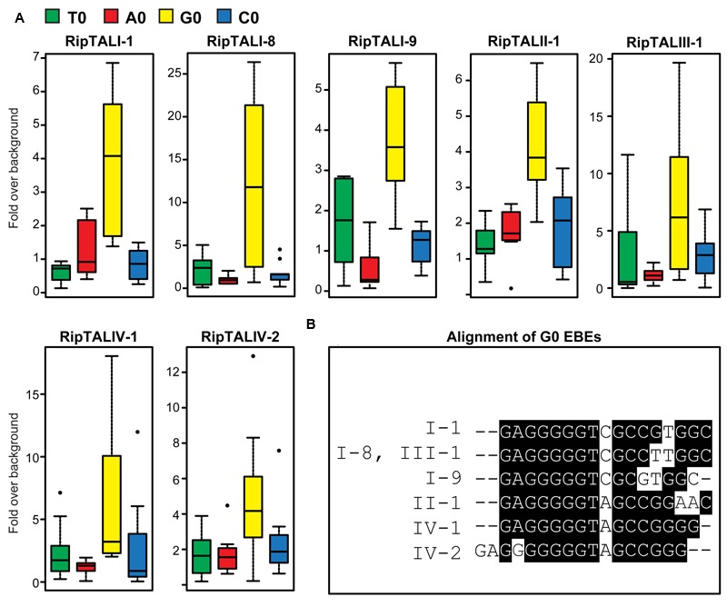 FIGURE 4