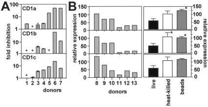 FIG. 2.