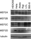 Fig 12
