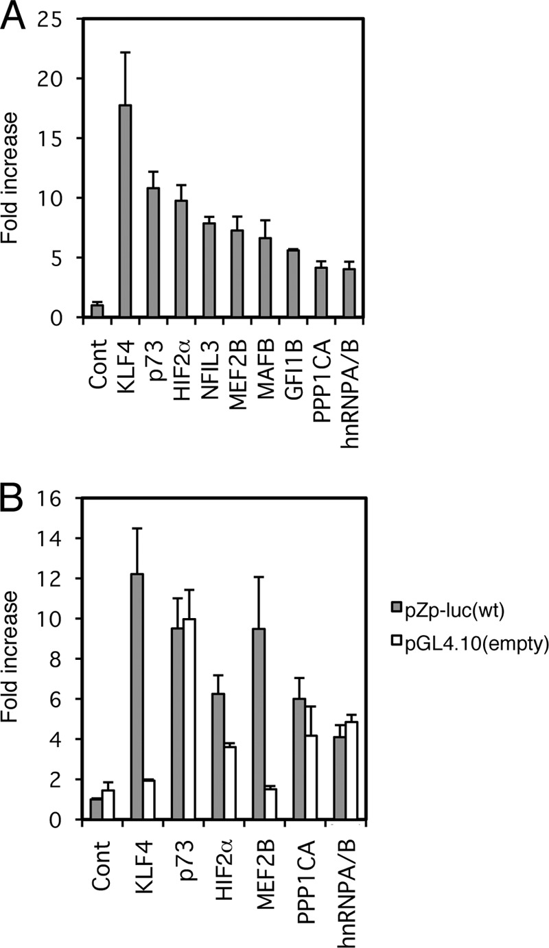 Fig 2