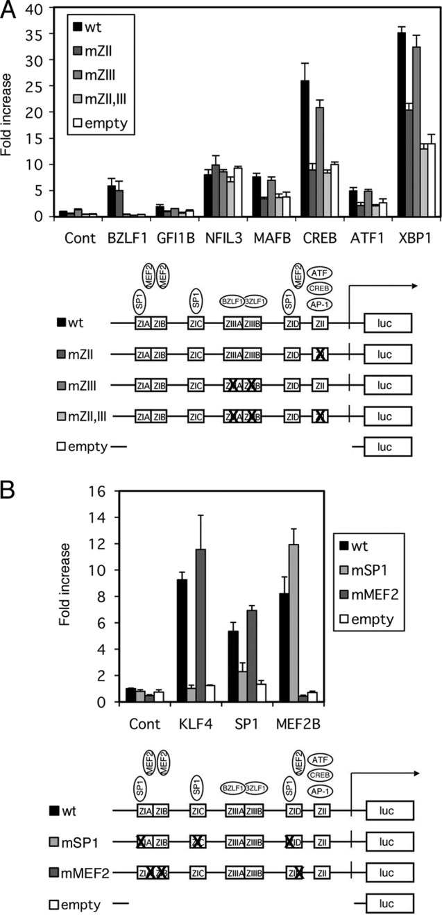 Fig 3