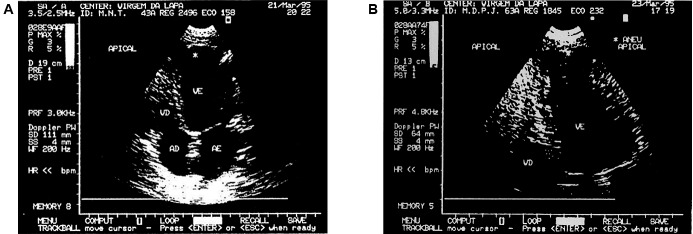 Fig. 3: