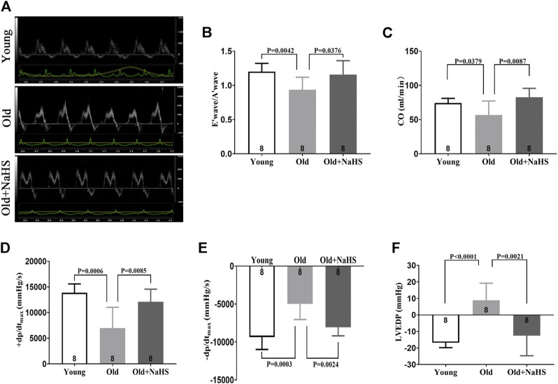 FIGURE 4