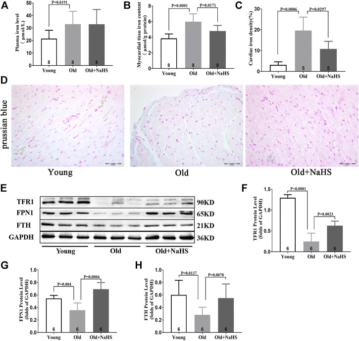 FIGURE 6