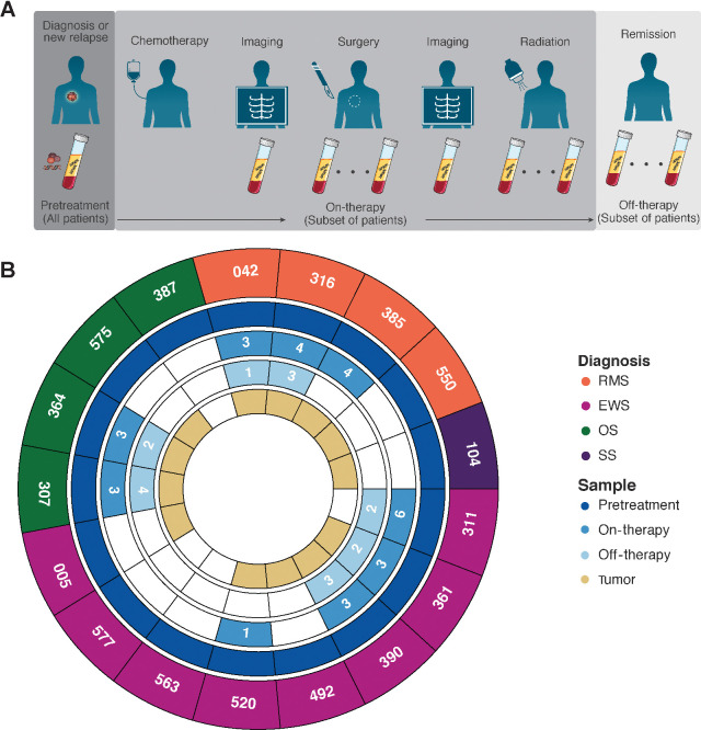 Figure 1. Sample collection schema and samples analyzed. A, All patients had plasma samples collected prior to initiation of treatment. When feasible, additional samples were obtained over the course of a patient's therapy and during off-therapy surveillance. B, Summary of plasma samples analyzed. Number of samples indicated if more than 1 sample was available for analysis. A subset of patients also had tumor specimens available for analysis using WGS and/or CAPP-Seq.