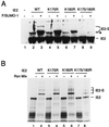 FIG. 5