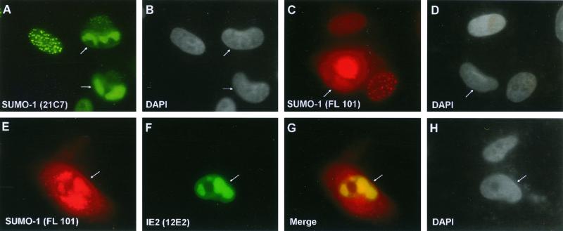 FIG. 9