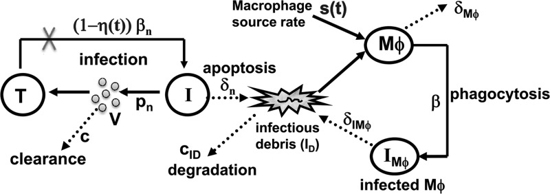 Fig 1