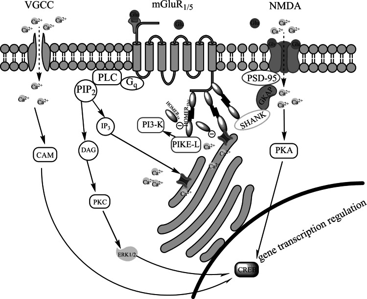 Fig. 1