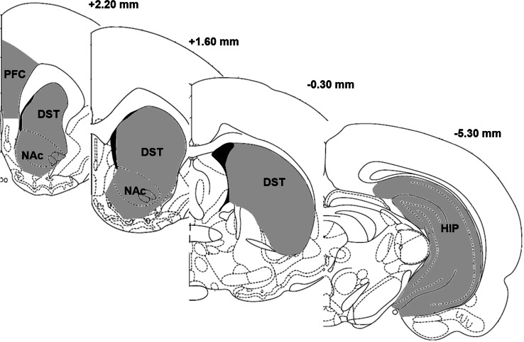 Fig. 3