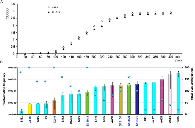 FIGURE 3