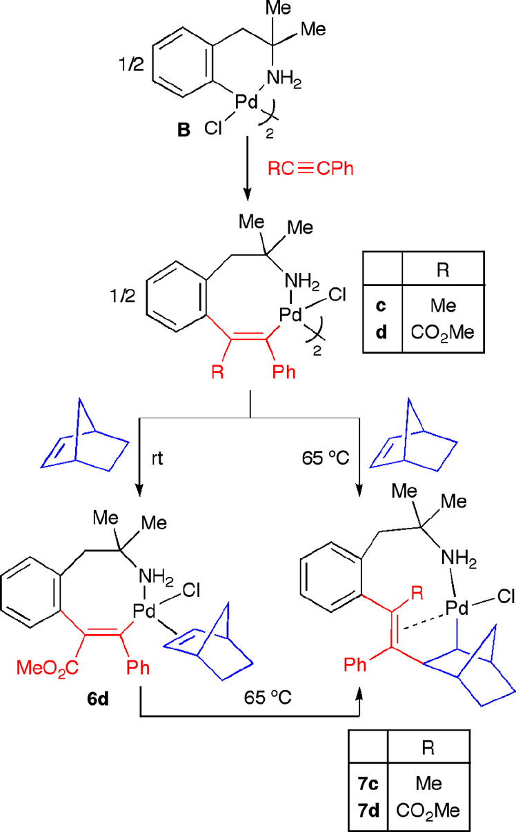 Scheme 7