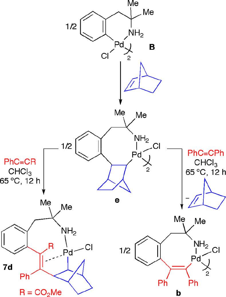 Scheme 8