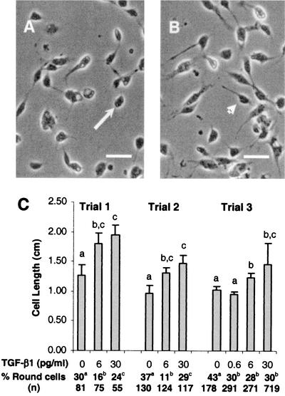 FIG. 5.