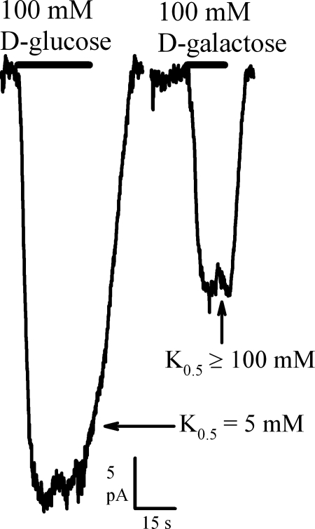 Fig. 5.