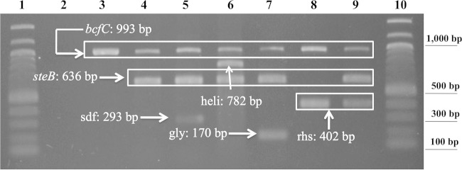 FIG 1