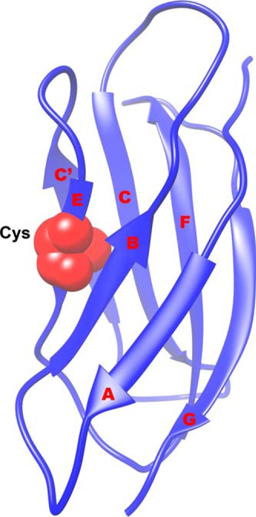 FIGURE 1.