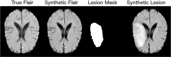 Fig. 10