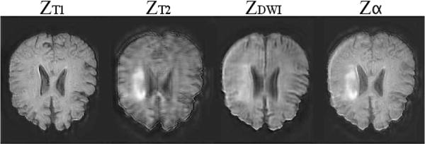 Fig. 8