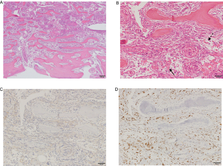 Fig. 3 –