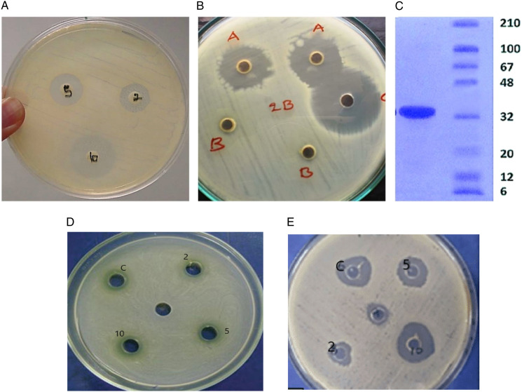 Figure 3.