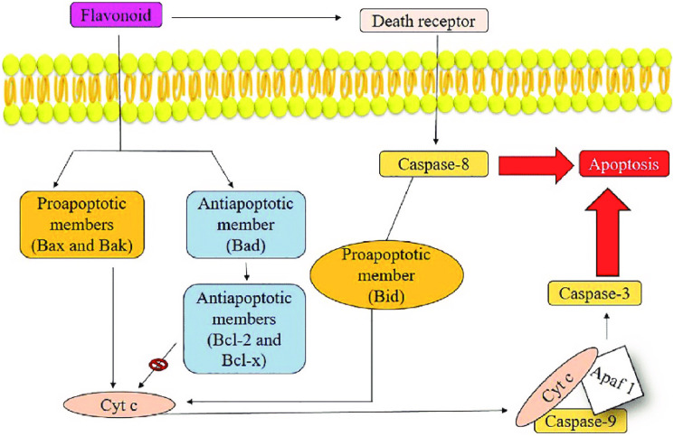 Figure 6.