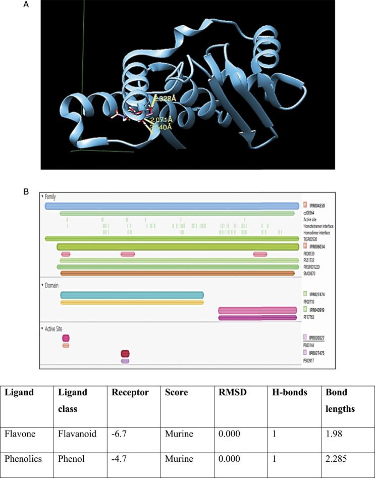 Figure 5.