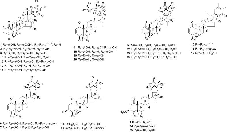 Fig. 6