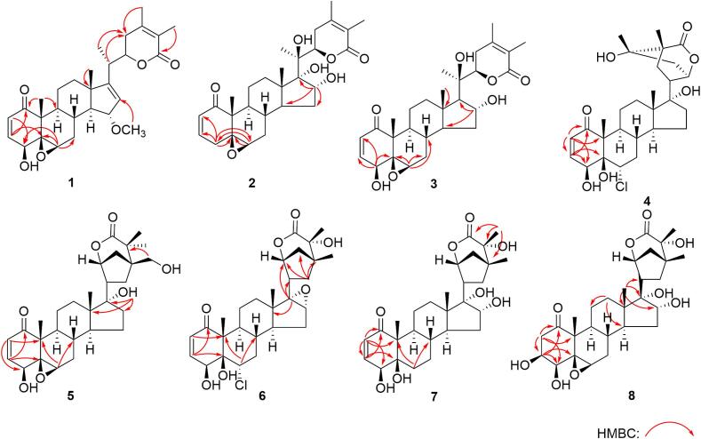 Fig. 7
