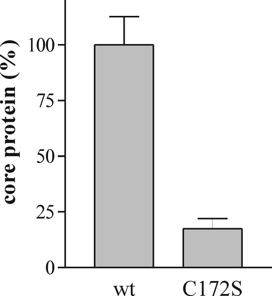 FIGURE 10.