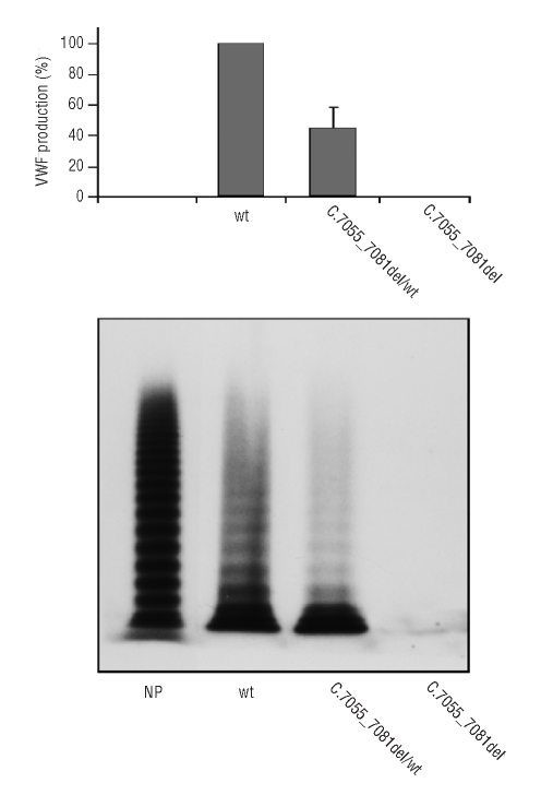 Figure 5.