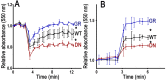 Fig. 5.