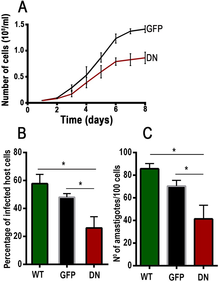 Fig. 8.