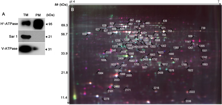 Fig. 3.