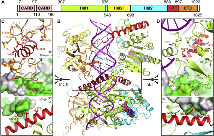 Figure 2