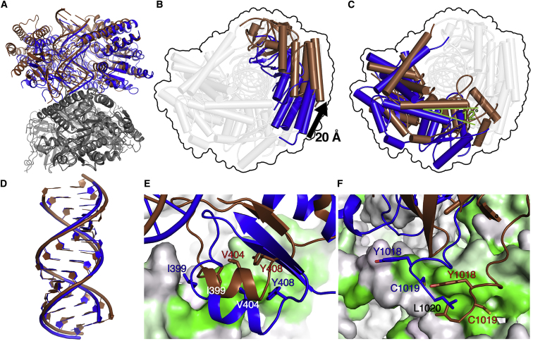 Figure 4