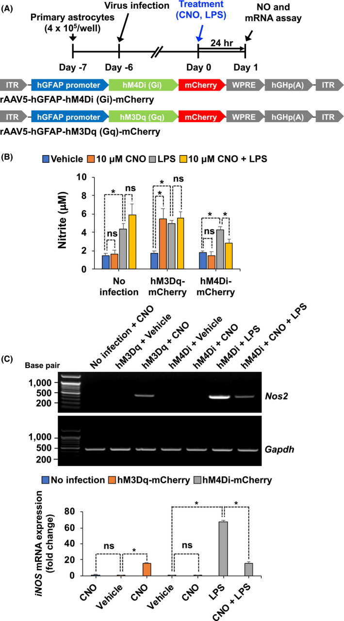 FIGURE 4