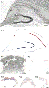 Fig. 3.