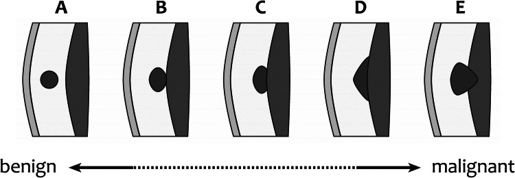 Fig. 9