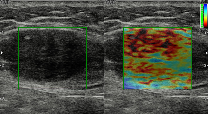 Fig. 7