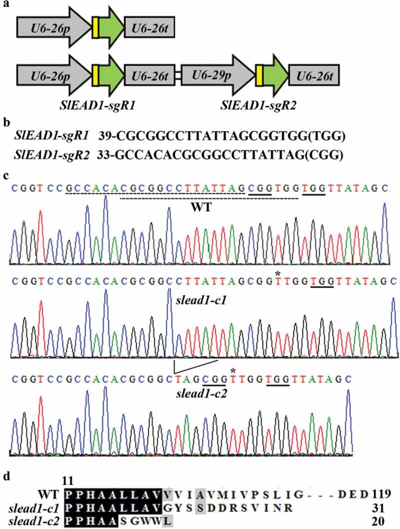 Figure 4.