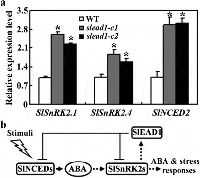 Figure 7.