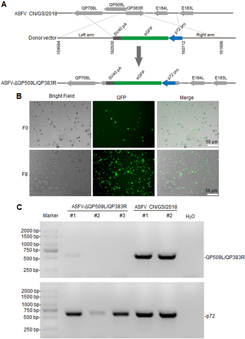 FIG 1