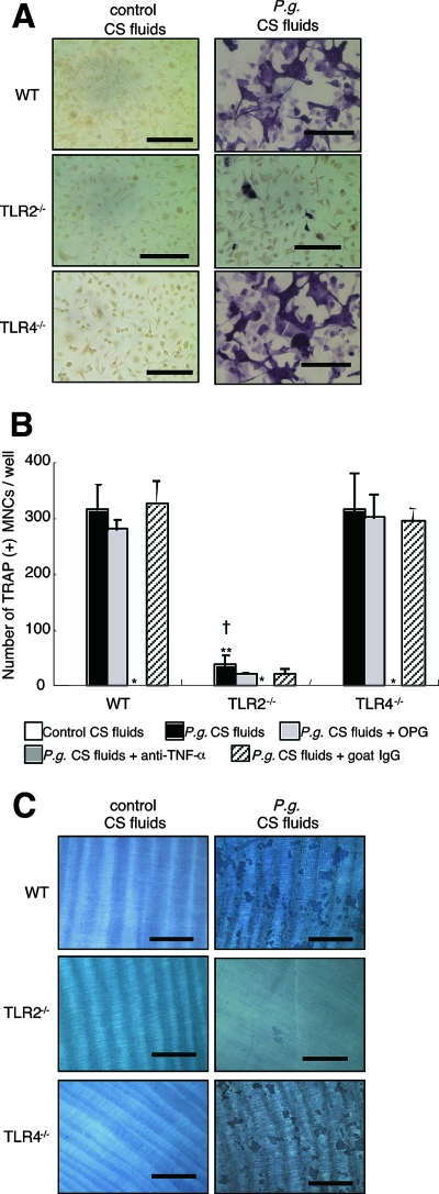 FIG. 5.