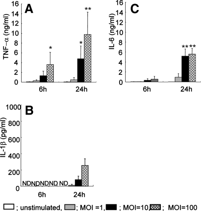 FIG. 1.